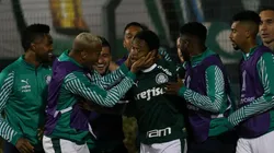 Cesar Greco/Palmeiras