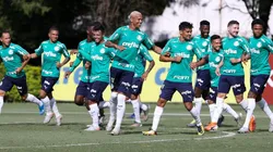 Divulgação/Palmeiras