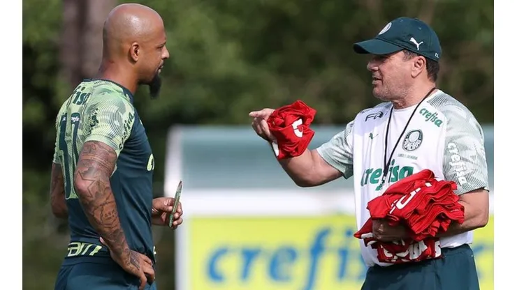 Foto: Cesar Greco/Ag. Palmeiras.