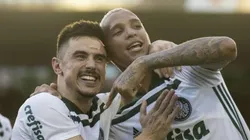 Divulgação/Palmeiras