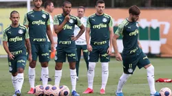 Cesar Greco/Palmeiras