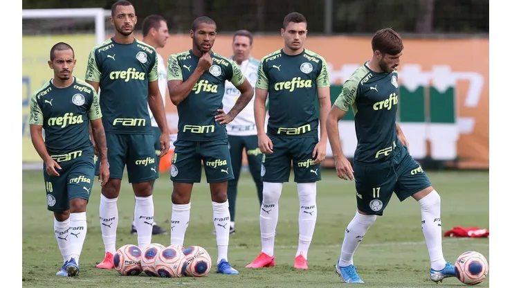 Cesar Greco/Palmeiras
