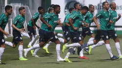 Cesar Greco/Palmeiras