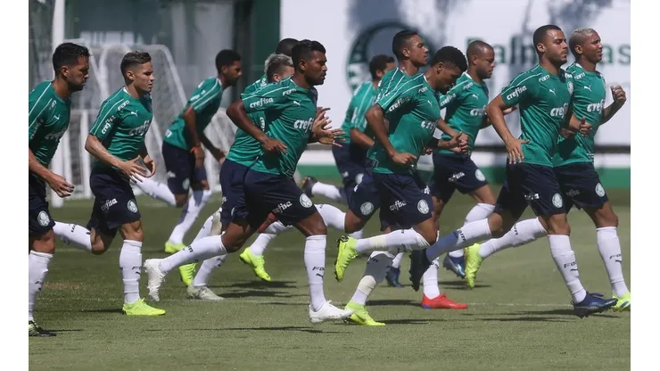 Cesar Greco/Palmeiras