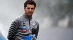 Divulgação/Santos