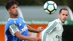 Palmeiras acerta renovação de meio-campista