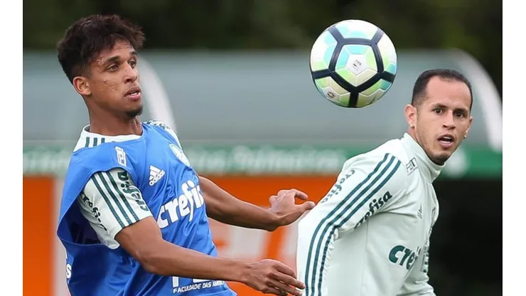 Palmeiras acerta renovação de meio-campista