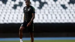 Divulgação/Botafogo