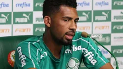 Palmeiras/Divulgação