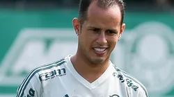 Foto: Palmeiras/Divulgação