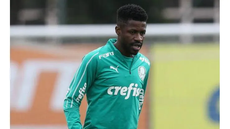 Cesar Greco/Palmeiras