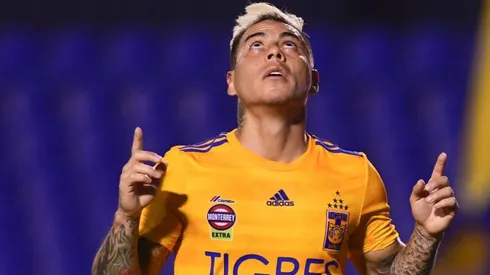 Divulgação/Tigres