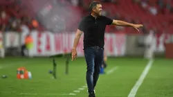 Foto: Ricardo Duarte/Internacional/Divulgação