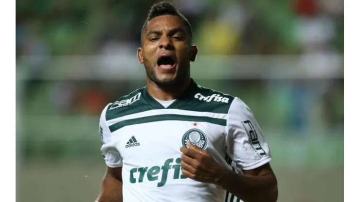Cesar Greco/Palmeiras