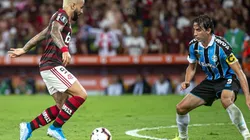 Foto: Flamengo/Divulgação