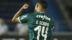Cesar Greco/Palmeiras