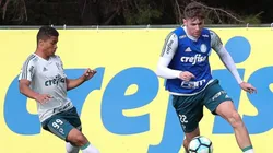 Foto: Palmeiras/Divulgação