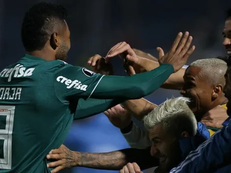 Anderson Barros usa exemplo de "caso Borja" para lucrar com meia do Verdão