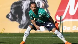 Foto: Palmeiras/Divulgação