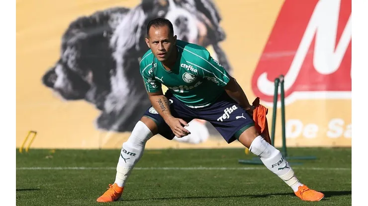 Foto: Palmeiras/Divulgação