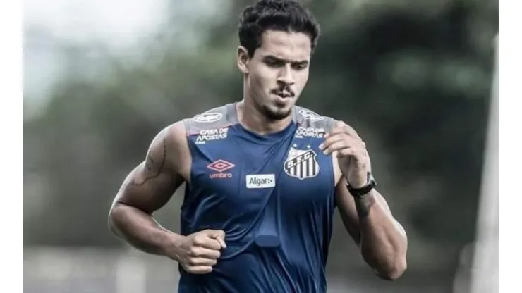 Ivan Storti/SFC
