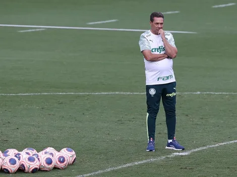 Ídolo do Verdão trabalhará na comissão técnica de Vanderlei Luxemburgo no Palmeiras