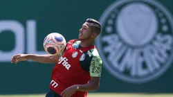 Palmeiras muda estratégia em 2020 e mira reforços com status de titular para temporada