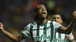 Foto: Divulgação/Palmeiras