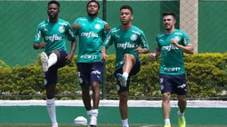 Jogador recupera boa fase e vira titular titular incontestável no Palmeiras de Luxemburgo
