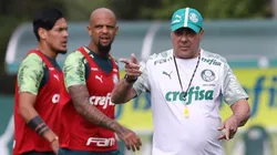 Foto: Cesar Greco / Ag Palmeiras