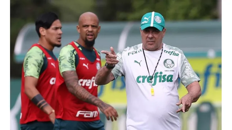 Foto: Cesar Greco / Ag Palmeiras