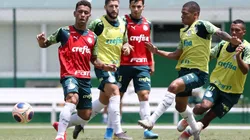 Foto: Cesar Greco/Palmeiras/Divulgação