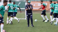 (Agência Palmeiras/Divulgação)