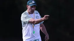 Foto: Cesar Greco/Palmeiras.