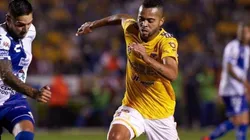 Foto: Divulgação/Tigres