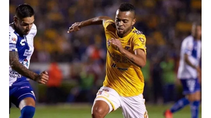 Foto: Divulgação/Tigres