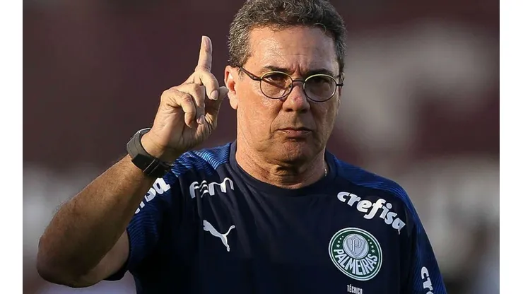 Luxa está em sua quinta passagem pelo Palmeiras - (Foto: Cesar Greco)