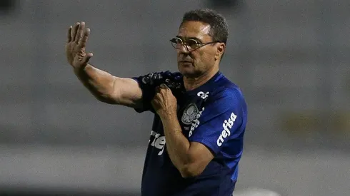 Foto: Reprodução/Twitter/Palmeiras.