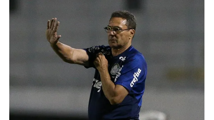 Foto: Reprodução/Twitter/Palmeiras.