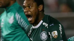 Cesar Greco/Ag Palmeiras/Divulgação