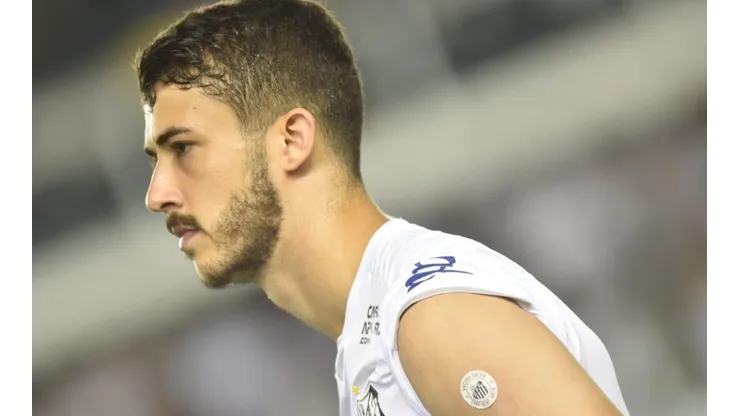 Foto: Ivan Storti/Santos FC/Divulgação