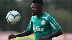 Cesar Greco/Palmeiras