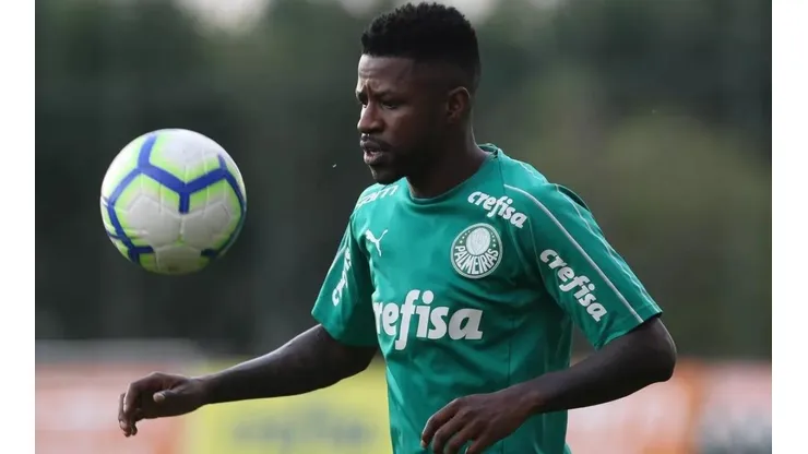 Cesar Greco/Palmeiras