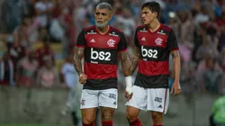 Foto: Flamengo/Divulgação
