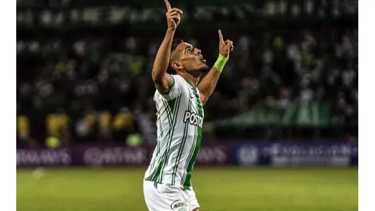 Divulgação