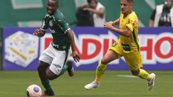 Foto: Cesar Greco/Palmeiras