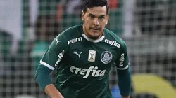 Cesar Greco/Palmeiras