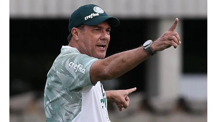 Luxemburgo responde torcedor do Palmeiras com acidez