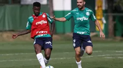 Cesar Greco/Palmeiras