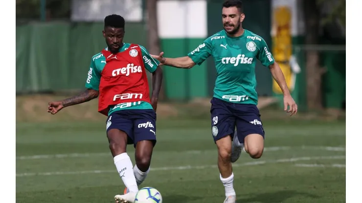 Cesar Greco/Palmeiras